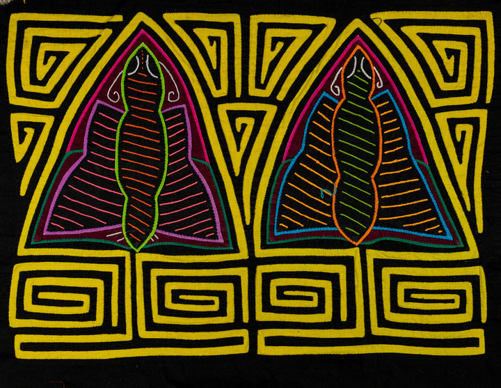Black And Yellow Rainforest Moth Mola