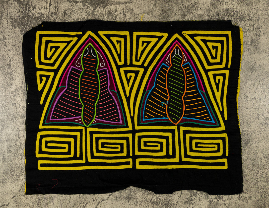 Black And Yellow Rainforest Moth Mola