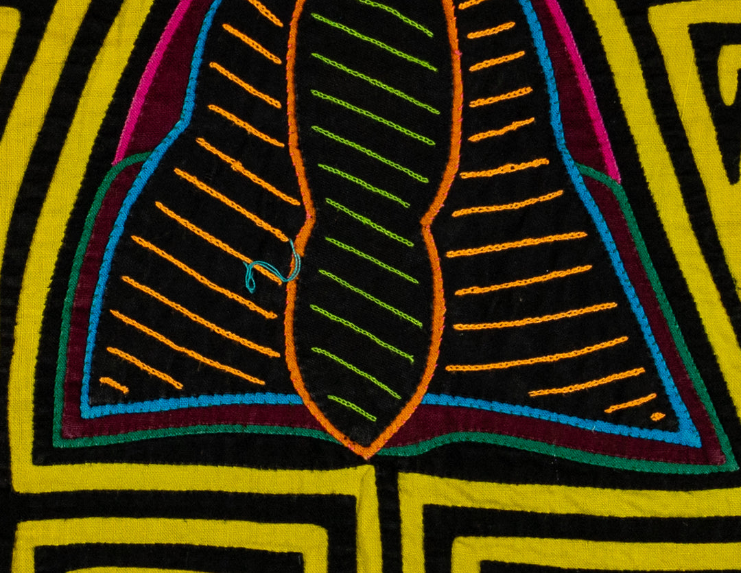 Black And Yellow Rainforest Moth Mola