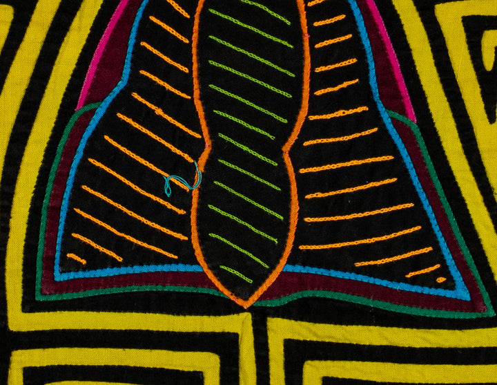 Black And Yellow Rainforest Moth Mola