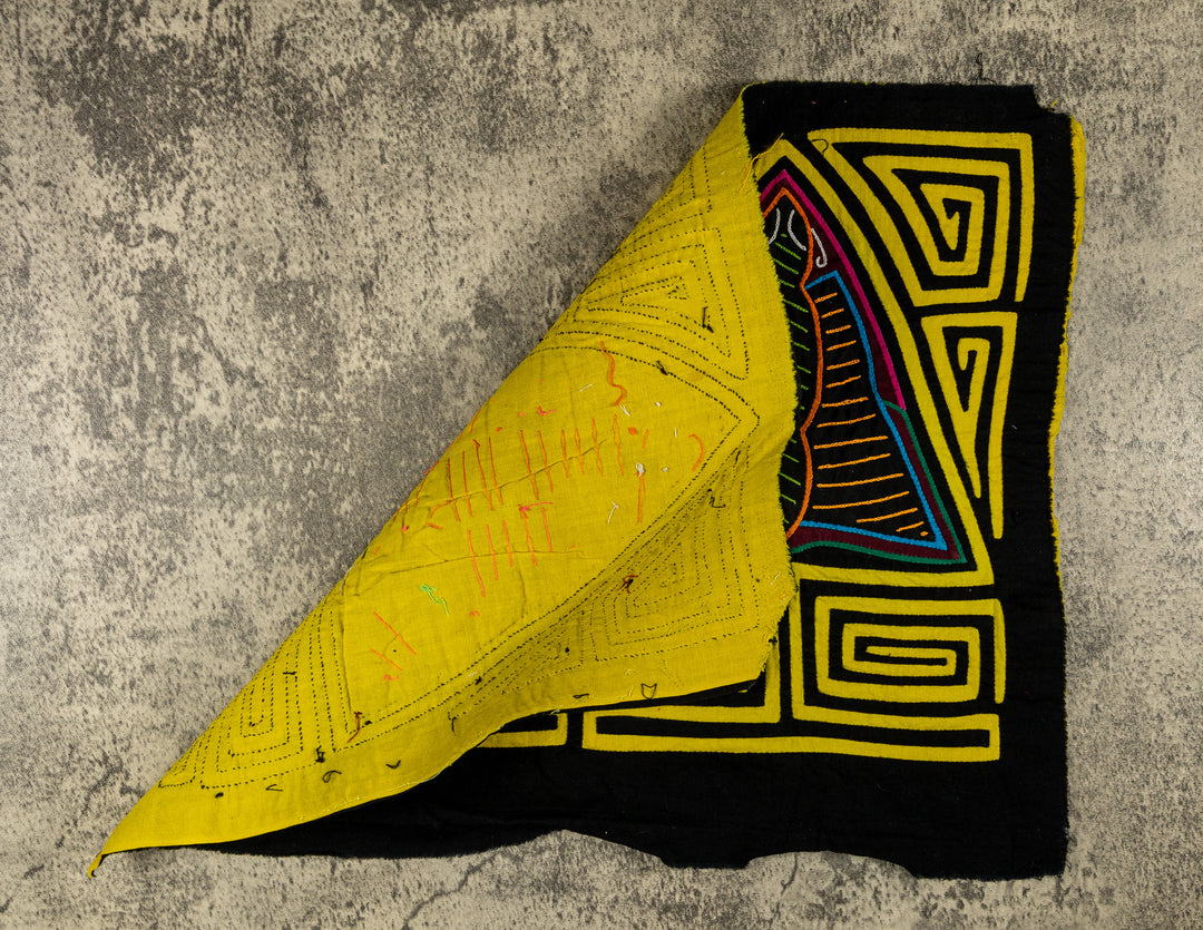 Black And Yellow Rainforest Moth Mola