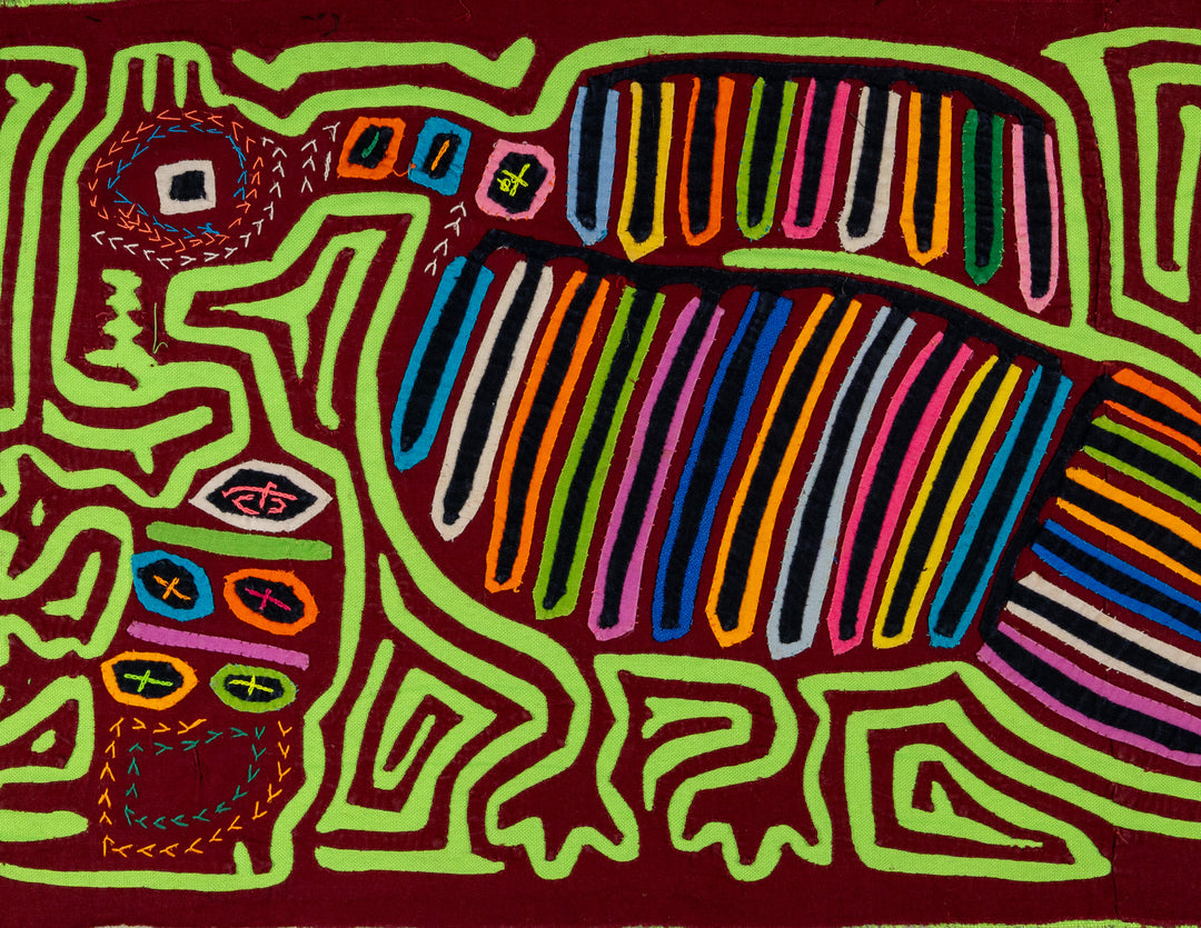 Family Relocation In the Jungle Mola
