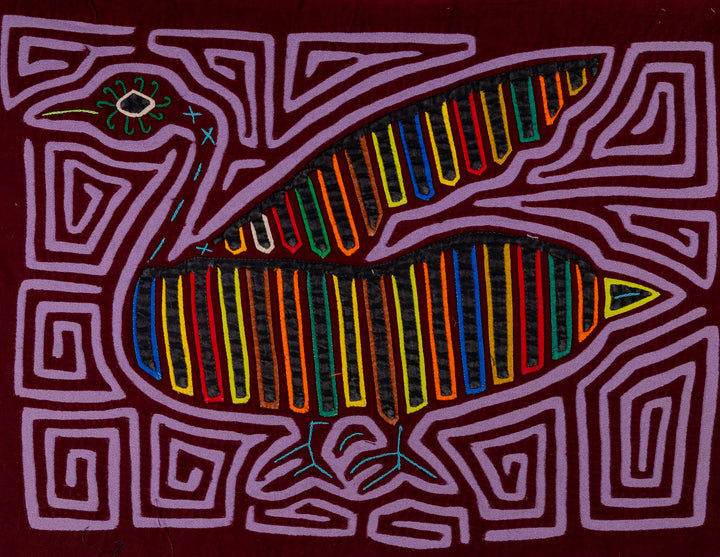 Purple Swan From The Royal Lake Mola