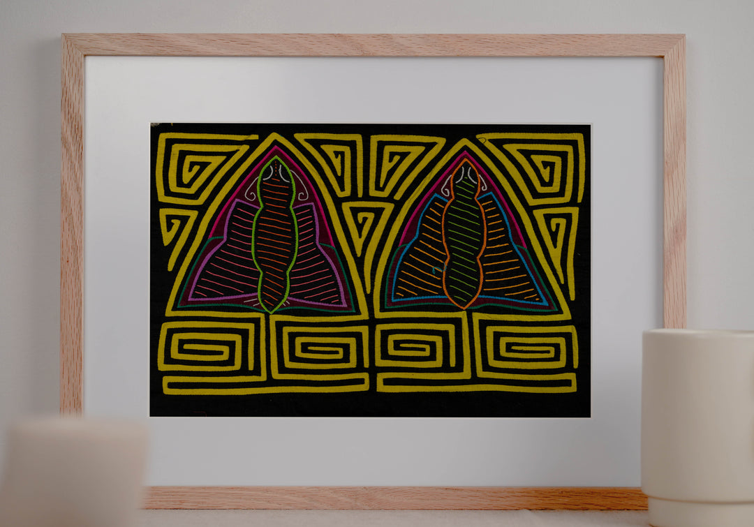 Black And Yellow Rainforest Moth Mola