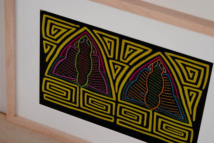 Black And Yellow Rainforest Moth Mola