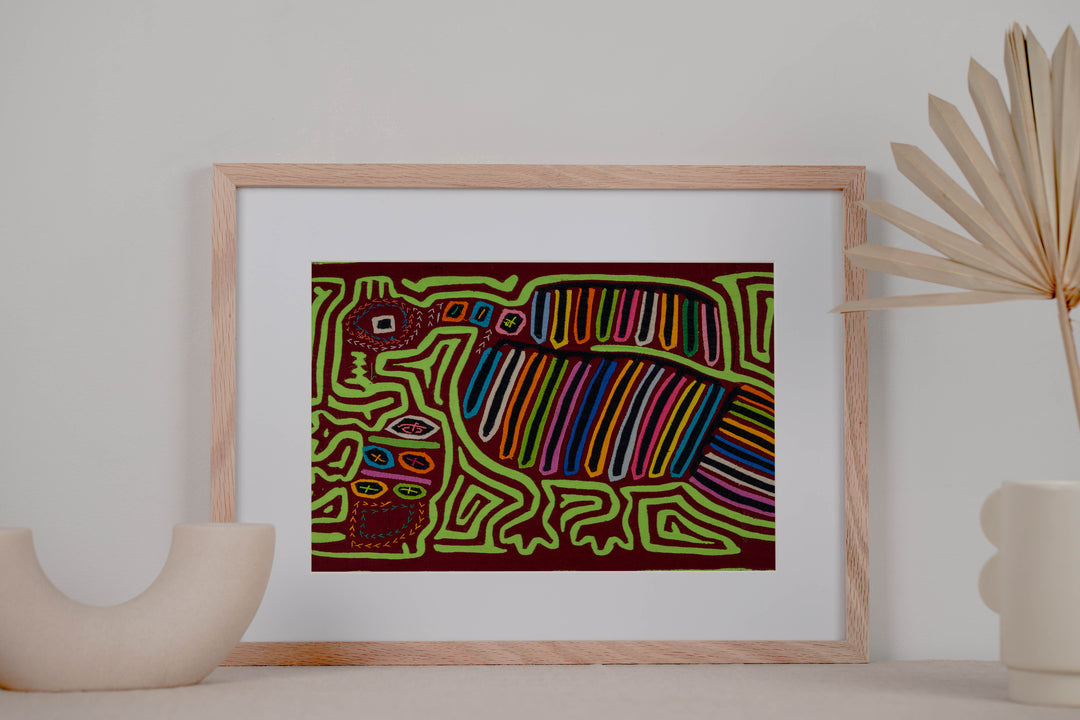 Family Relocation In the Jungle Mola