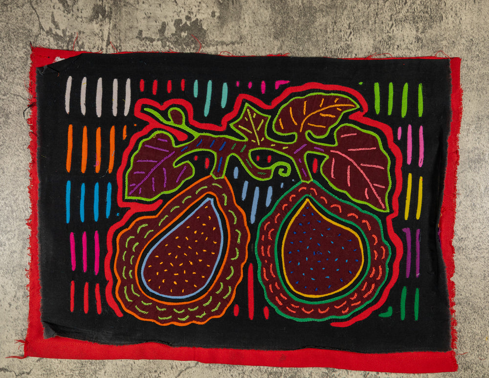 Panama mola panel, two big fruits with broad leaves outlined in red on black, hand stitched reverse applique