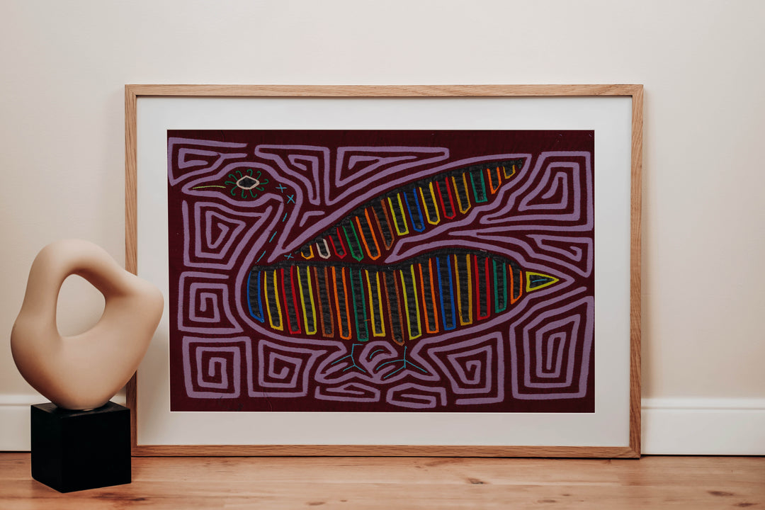 Purple Swan From The Royal Lake Mola