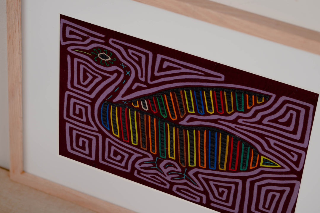 Purple Swan From The Royal Lake Mola
