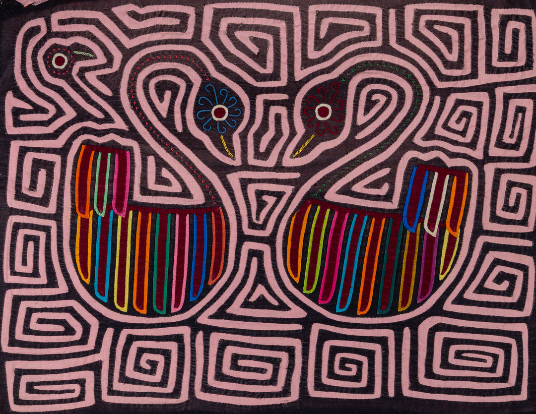 Swan Song In A Sea Of Pink Mola