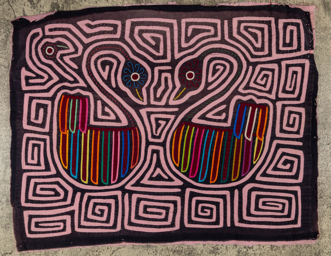 Swan Song In A Sea Of Pink Mola