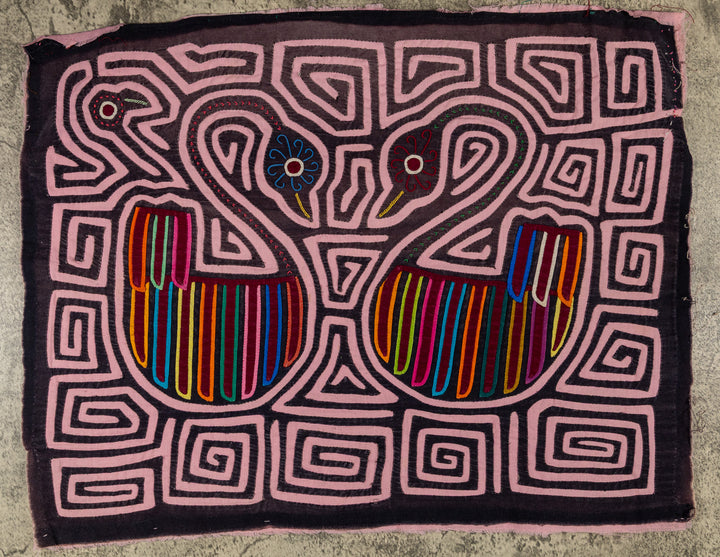 Swan Song In A Sea Of Pink Mola