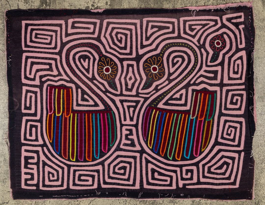 Swan Song In A Sea Of Pink Mola