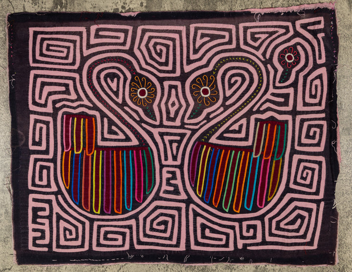Swan Song In A Sea Of Pink Mola