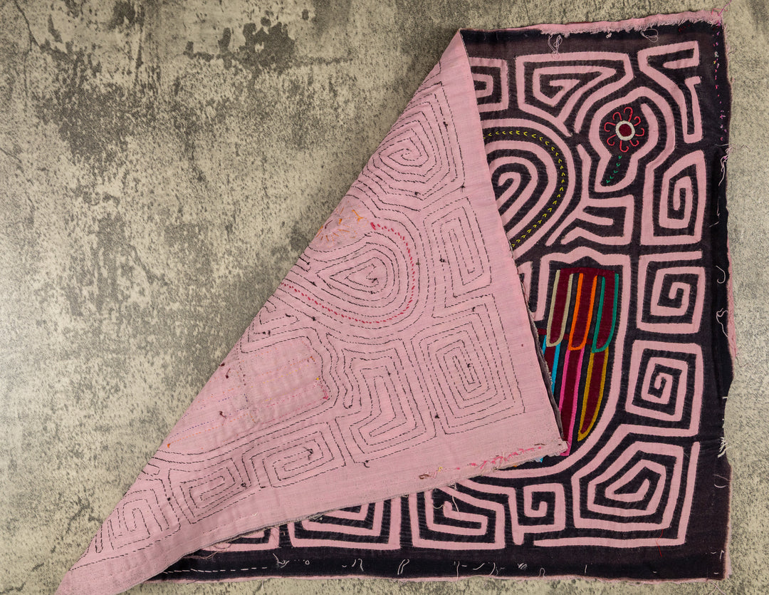 Swan Song In A Sea Of Pink Mola