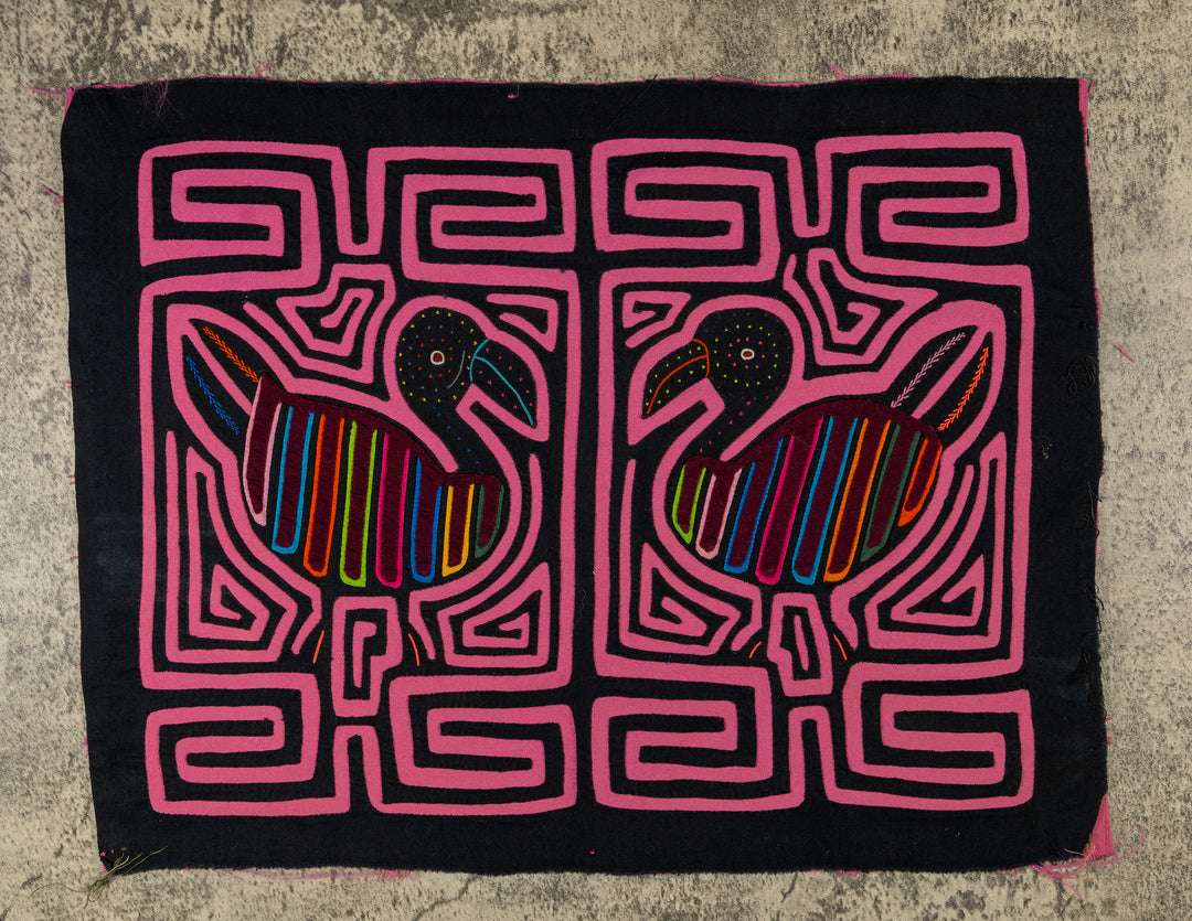 Black And Pink Beachcomber Seagull Mola