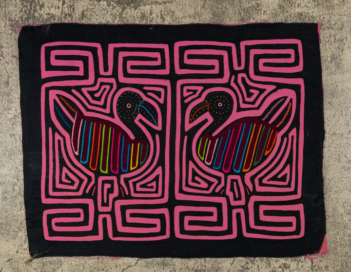 Black And Pink Beachcomber Seagull Mola