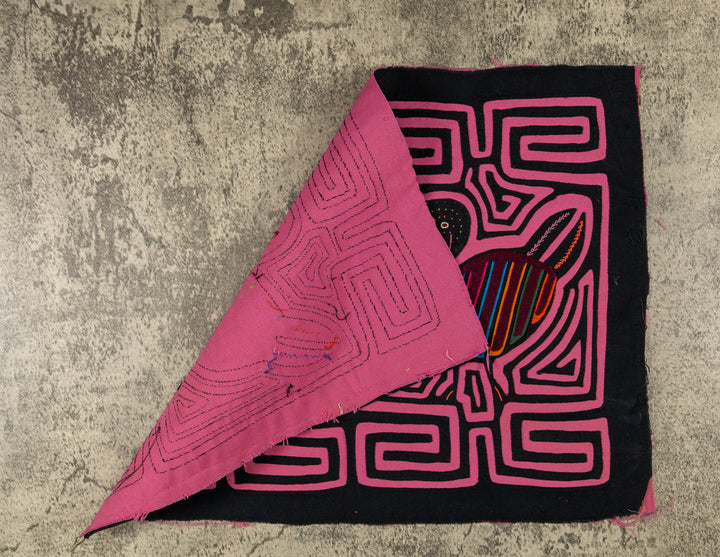 Black And Pink Beachcomber Seagull Mola