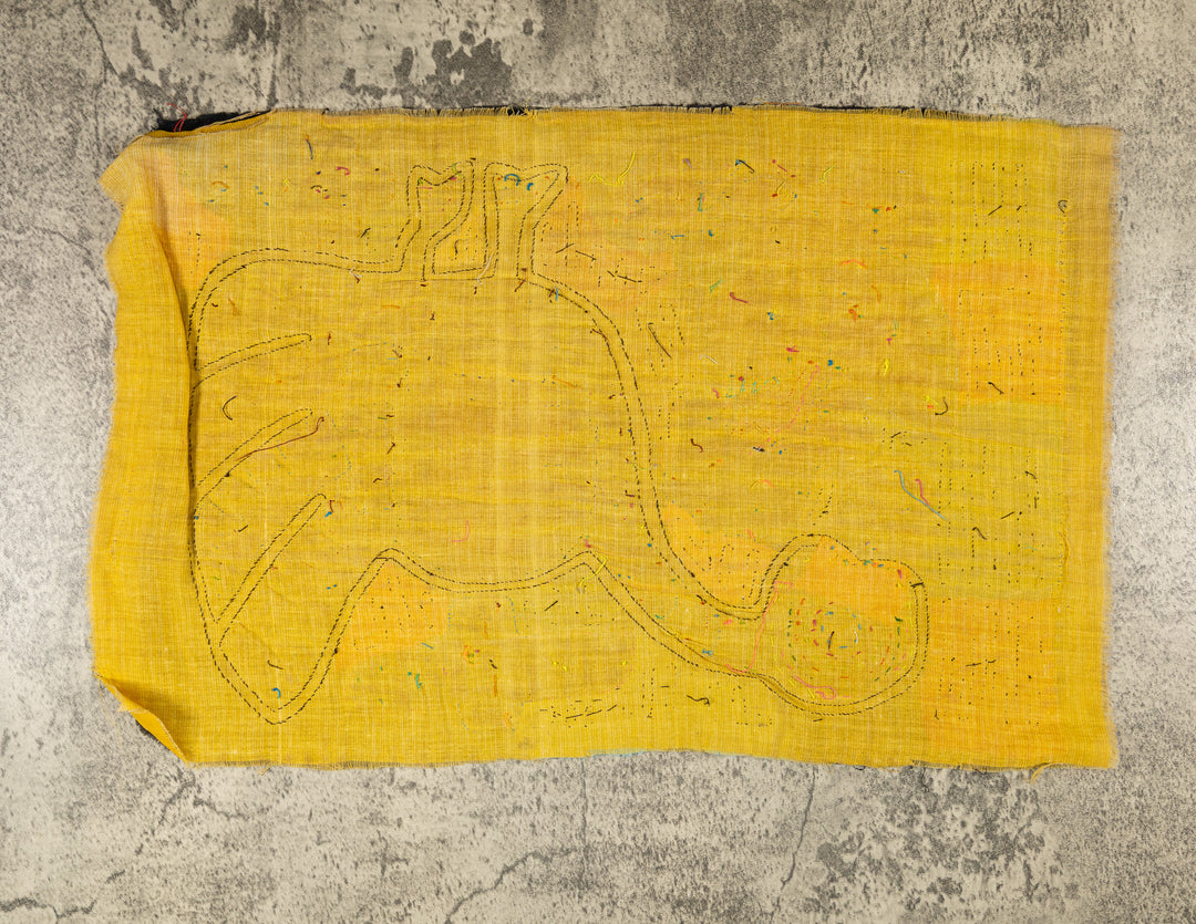Goose on the loose mola, hand stitched Guna panel from Panama, 16.5 by 11.5 inches