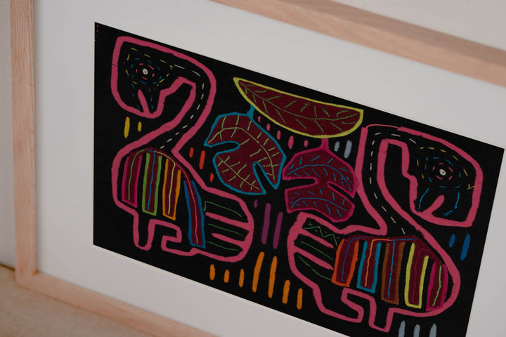 Black And Pink Coy Lovebird Mola