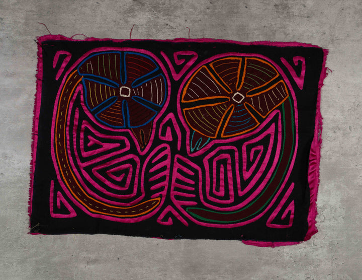Black And Pink Twin Embryo Mola