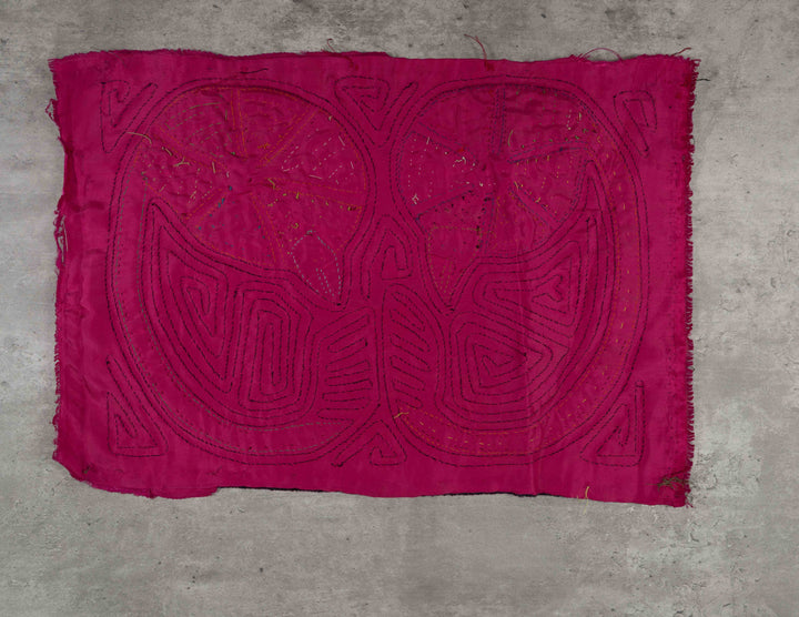 Black And Pink Twin Embryo Mola