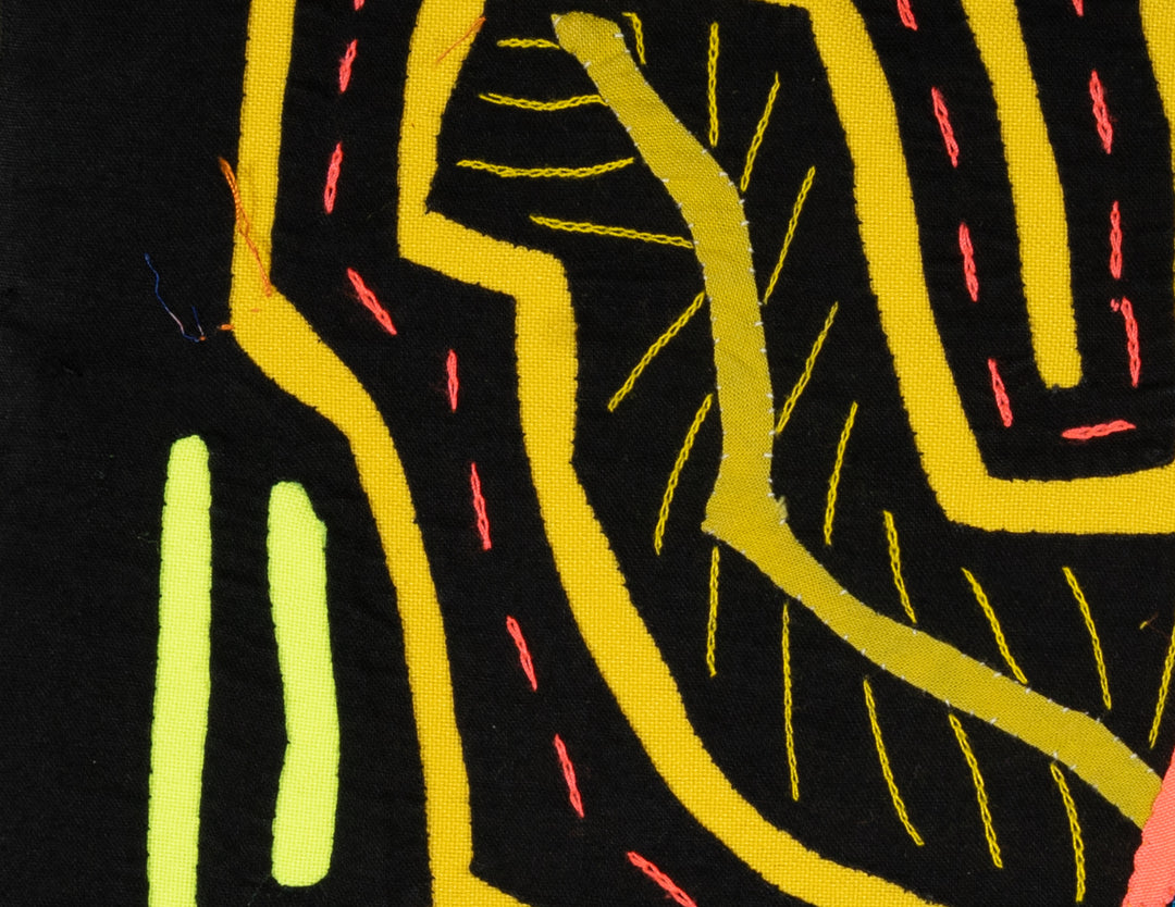 Black And Yellow Cat On the Prowl Mola