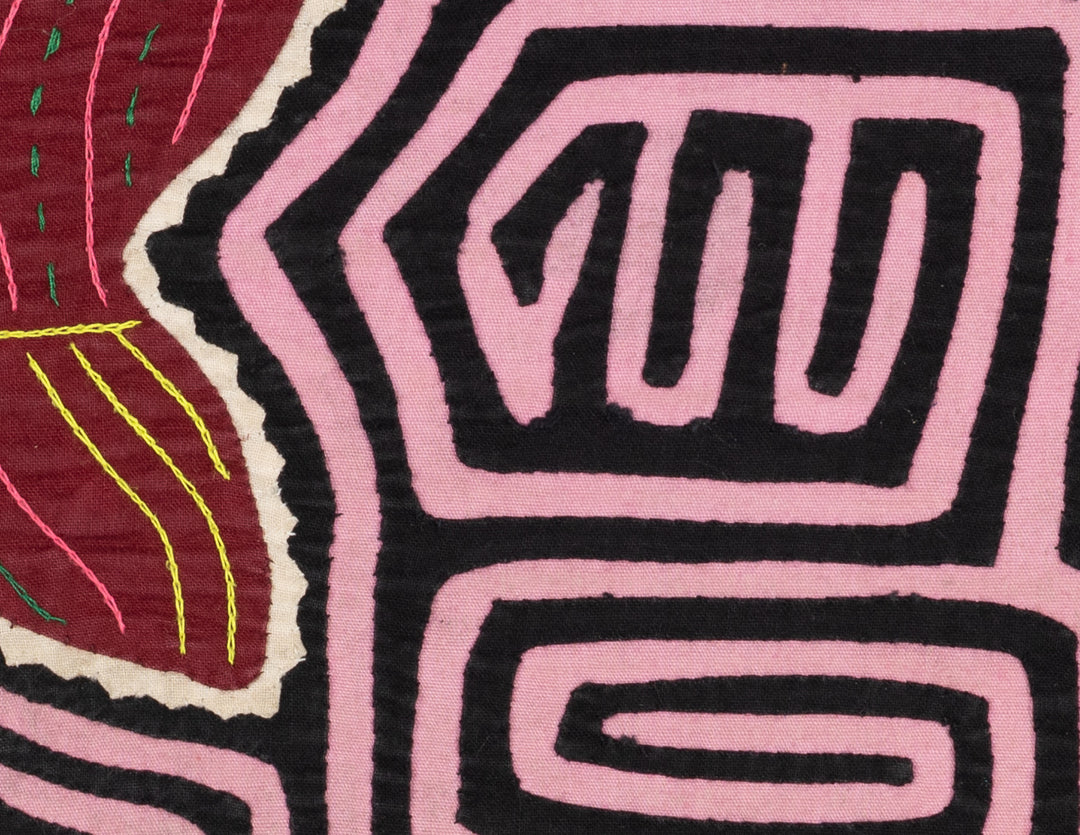 Black And Pink Tempting Dog Bone Mola