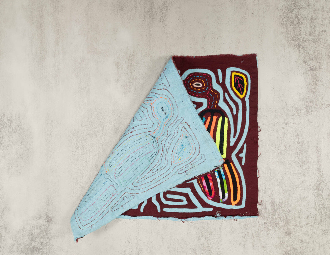 Maroon And Blue Gossip Bird Mola