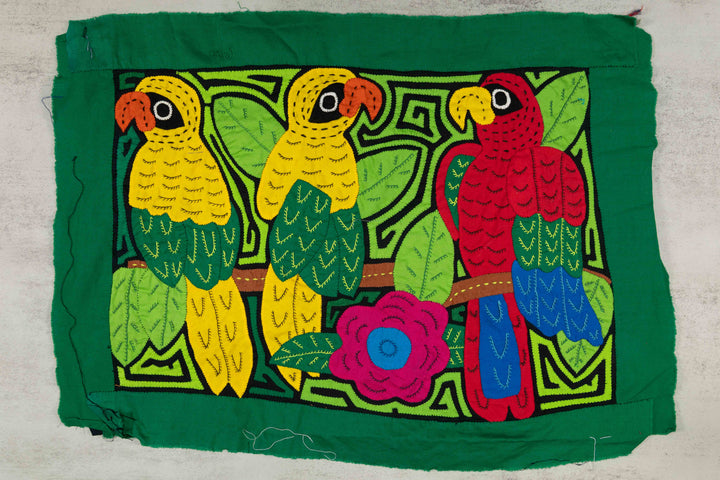 Three Rainforest Parrot Mola