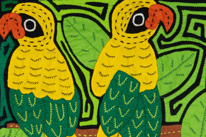 Three Rainforest Parrot Mola