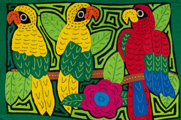 Three Rainforest Parrot Mola