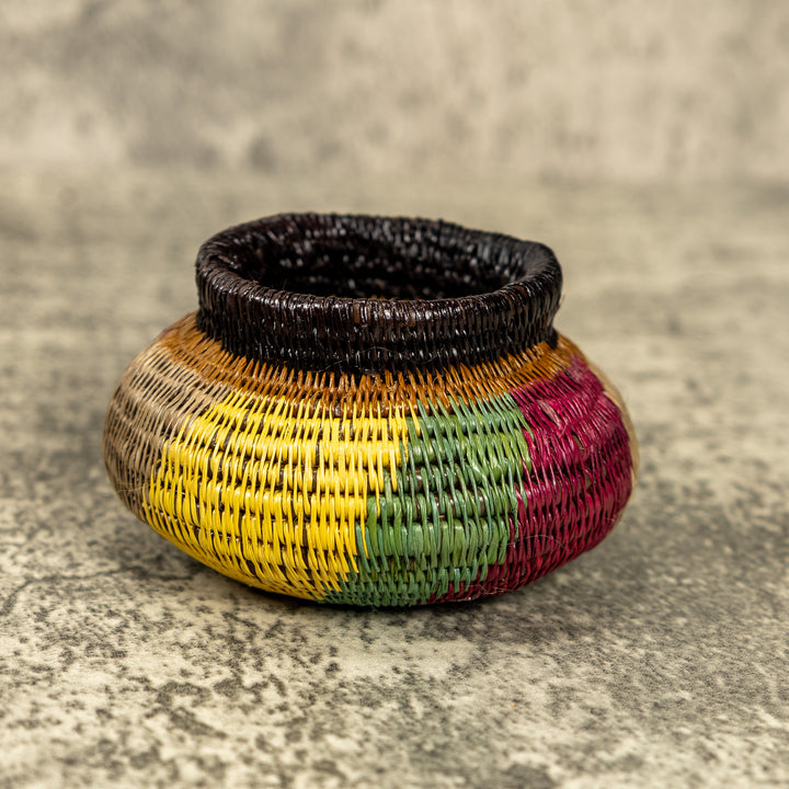 Small Multicolor Hand Woven Rainforest Basket