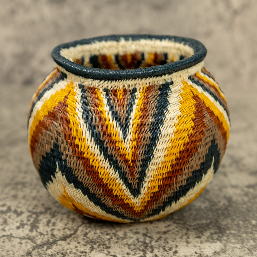 Small Rainbow Hand Woven Rainforest Basket