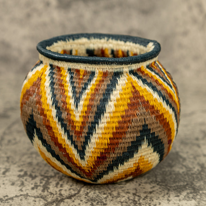 Small Rainbow Hand Woven Rainforest Basket