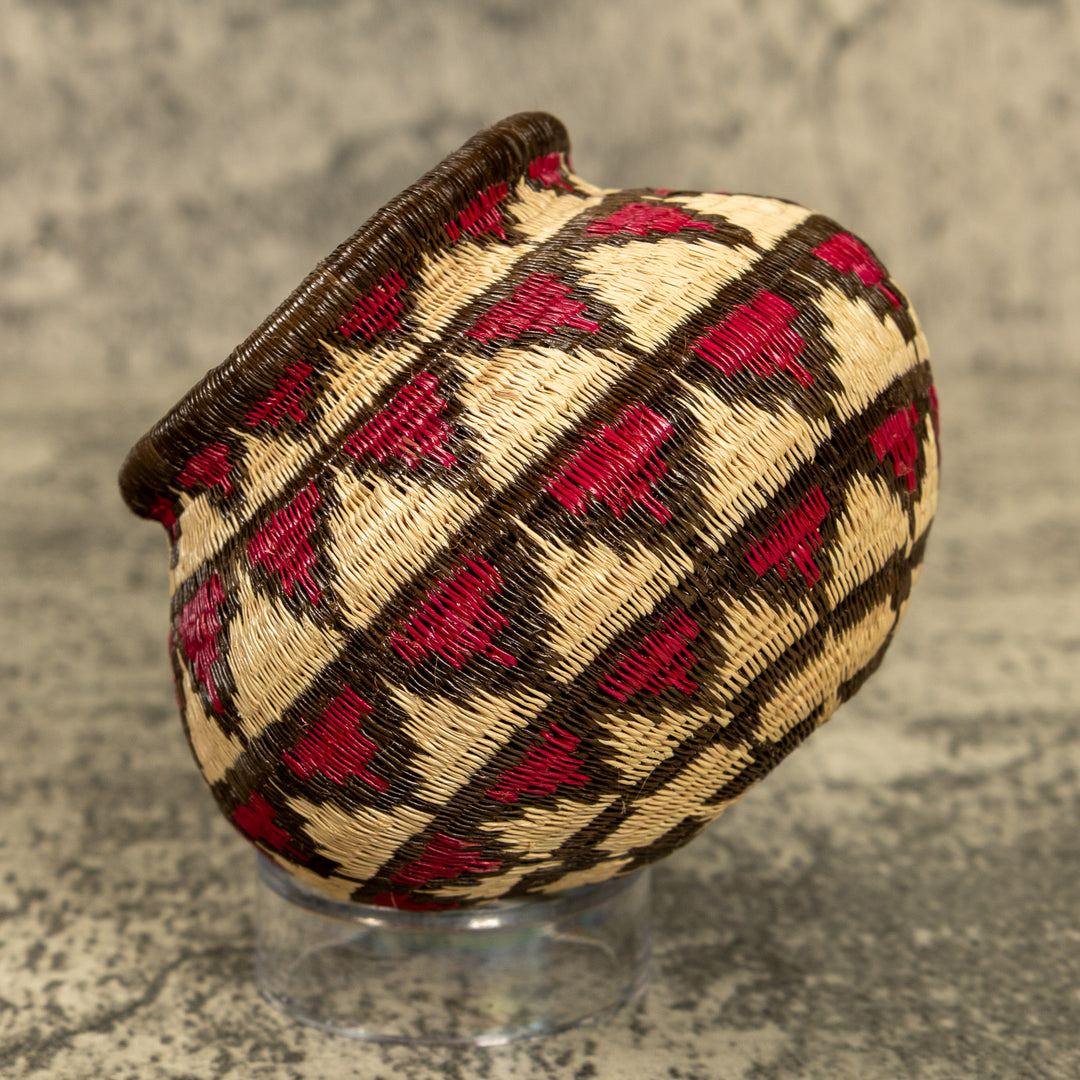 Feathered Hand Woven Rainforest Basket