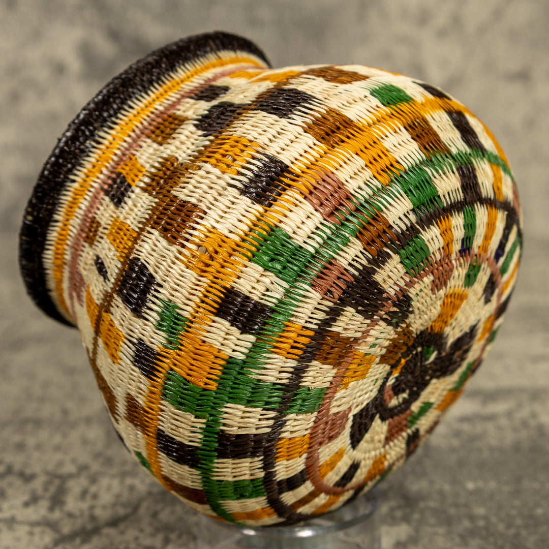 Multicolor Hand Woven Rainforest Basket