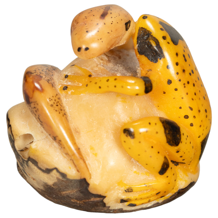 Vintage Frog With Snake Tagua Nut Carving