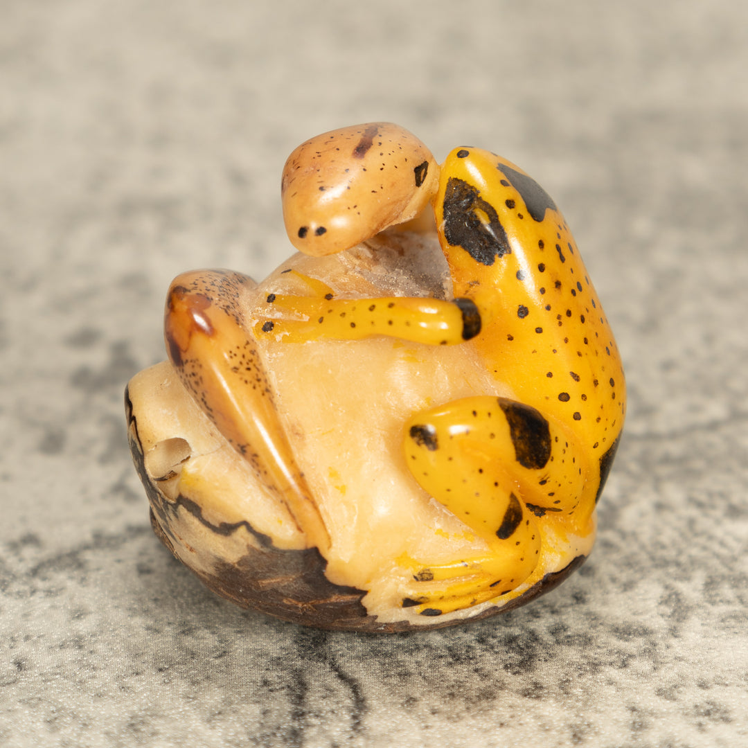 Vintage Frog With Snake Tagua Nut Carving