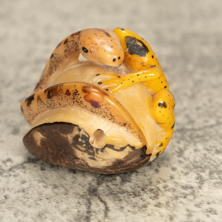 Vintage Frog With Snake Tagua Nut Carving