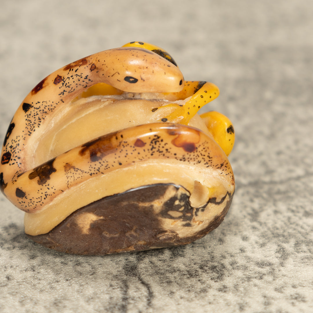 Vintage Frog With Snake Tagua Nut Carving