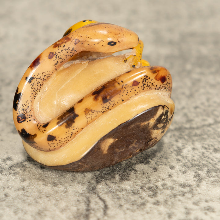 Vintage Frog With Snake Tagua Nut Carving