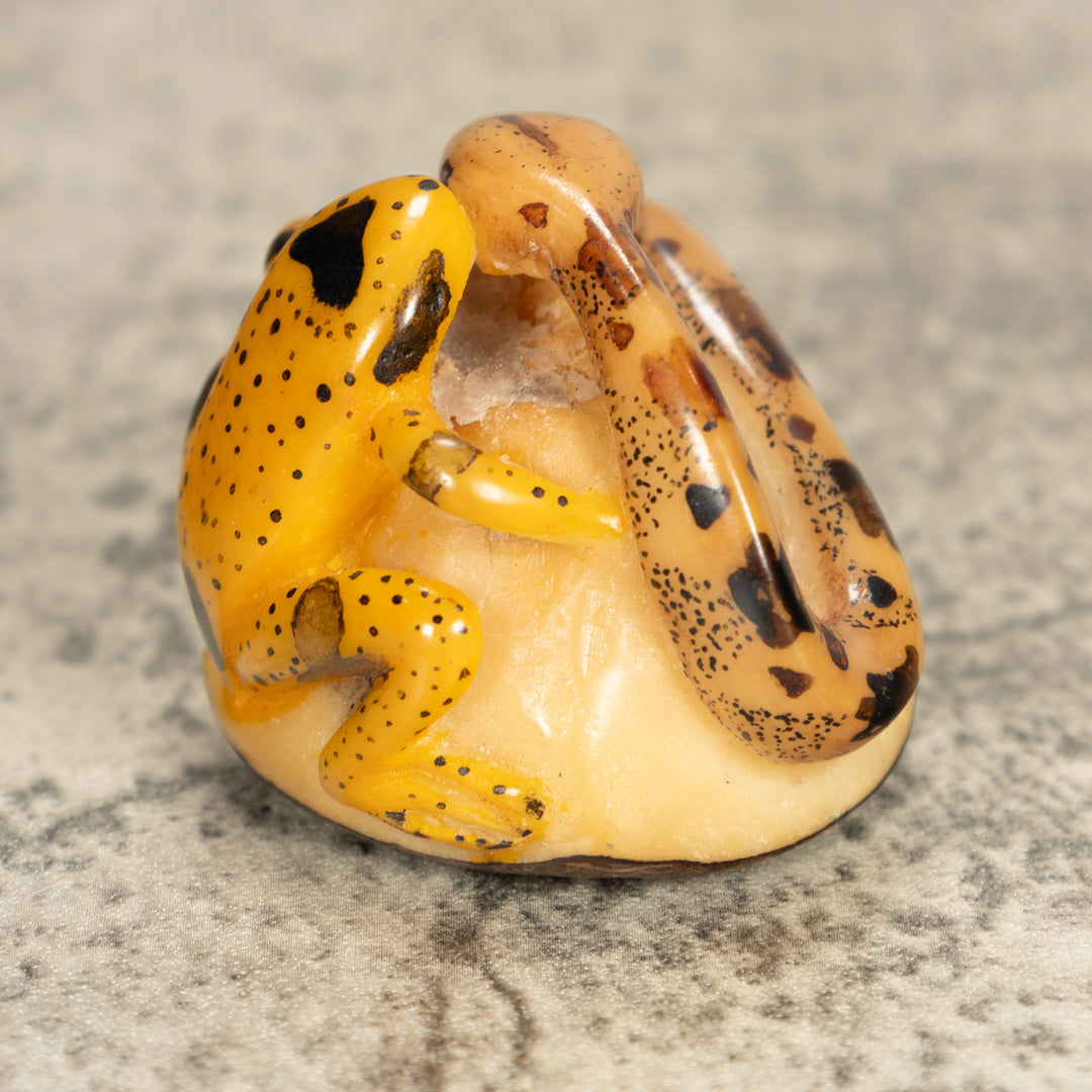 Vintage Frog With Snake Tagua Nut Carving