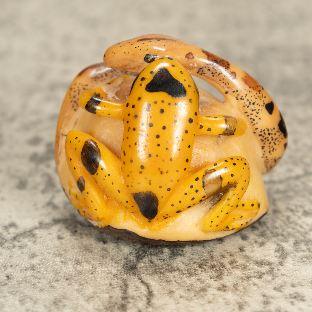 Vintage Frog With Snake Tagua Nut Carving