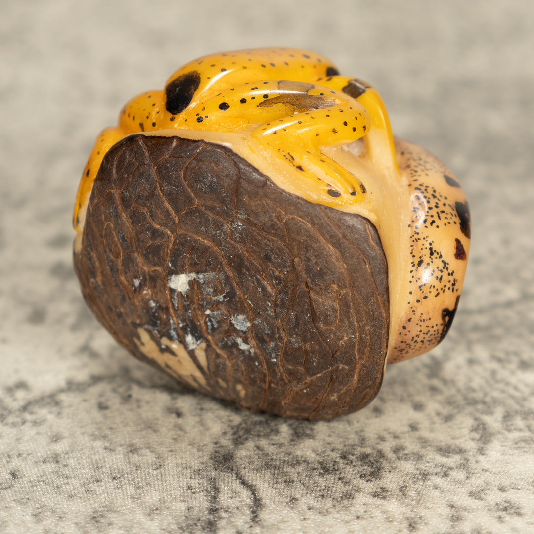 Vintage Frog With Snake Tagua Nut Carving