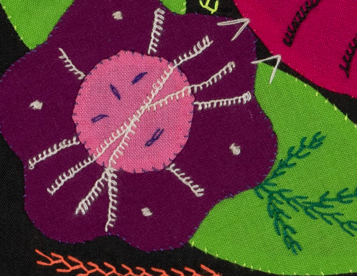 Multi-Color Parrot Bird Blue And Red Molita