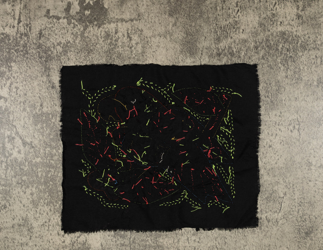 Multi-Color Parrot Bird Blue And Red Molita