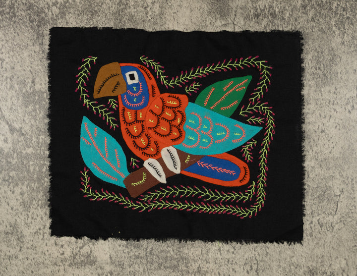 Multi-Color Parrot Bird Blue And Orange Molita