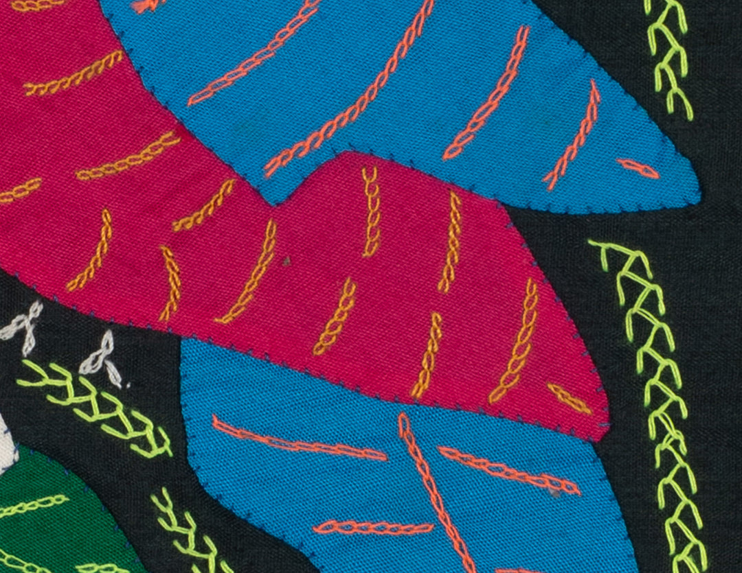 Multi-Color Parrot Bird Red And Blue Molita