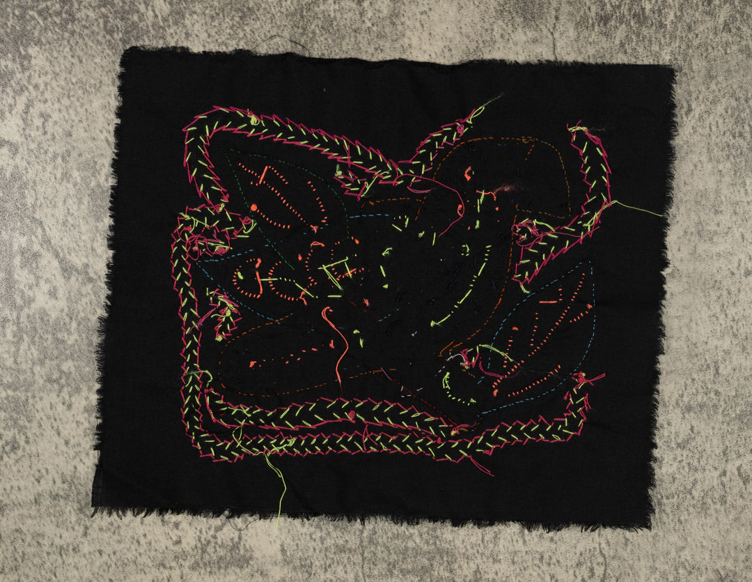 Multi-Color Parrot Bird Blue And Orange Molita